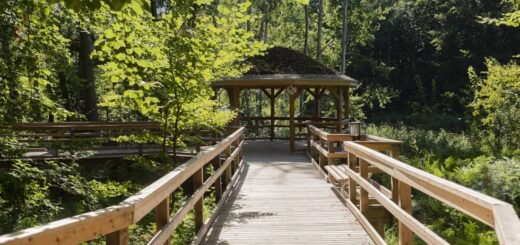 Kurwald Graal-Müritz